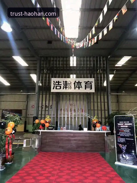 浩瀚体育平台手机版实用指南：最新地址获取与版本升级必备知识